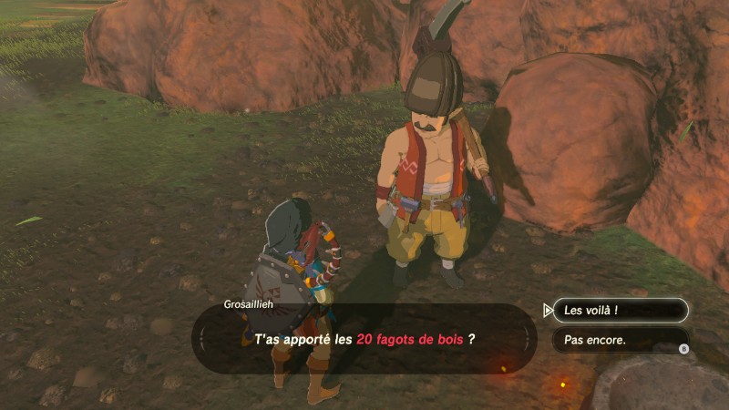 Où trouver le Bouclier d'Hylia et comment le réparer dans Tears of