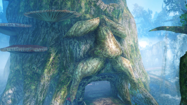Le vénérable arbre mojo (Screenshot - Screenshots de la version Wii U- Hyrule Warriors)