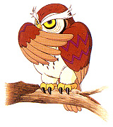 Hibou (Artwork - Personnages - Link’s Awakening)