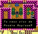 « Screenshot » de « Link’s Awakening ».