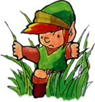 Link sauvage dans les hautes herbes