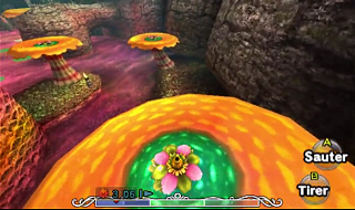 Screenshot du jeu - Majora's Mask 3D - Le Marais du Sud - Au secours des singes