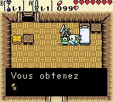 Screenshot de Oracle of Ages