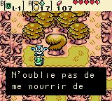 Screenshot de Oracle of Ages