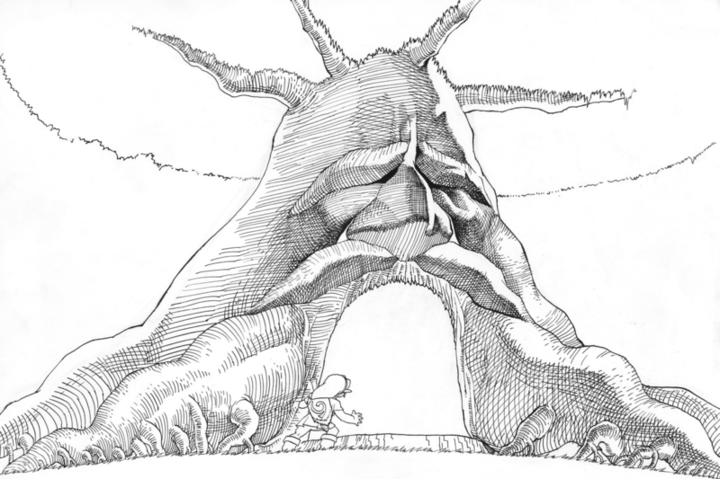 Le vénérable Arbre Mojo (Artwork - Concept Arts - Ocarina of Time)