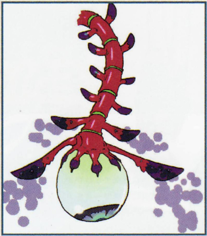 Palaparas (Artwork - Mini-boss et boss - Skyward Sword)