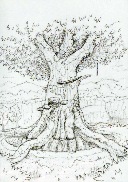 Le grand arbre (Artwork - Concept Arts d'Hyrule - Skyward Sword)