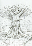 Le grand arbre