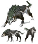 Link loup