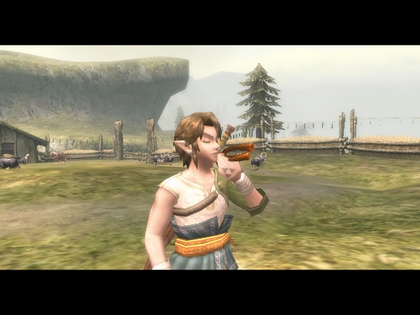 Screenshot de Twilight Princess