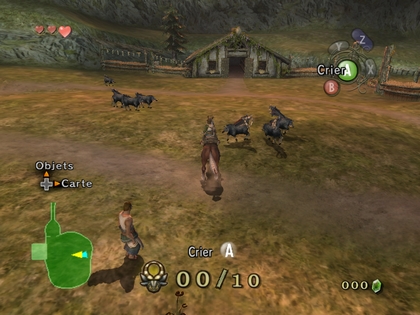 Screenshot de Twilight Princess