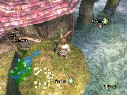 Screenshot de Twilight Princess