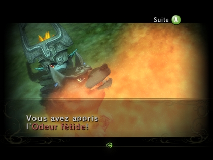 Screenshot de Twilight Princess