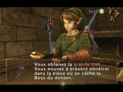 Screenshot de Twilight Princess