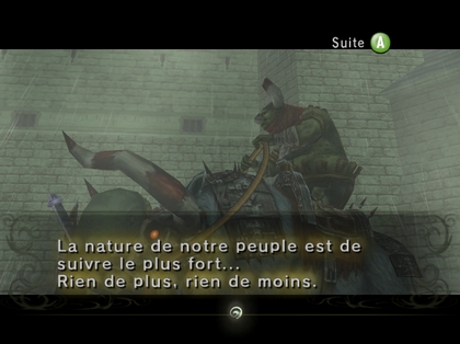 Screenshot de Twilight Princess