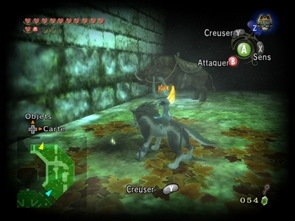 Screenshot de Twilight Princess