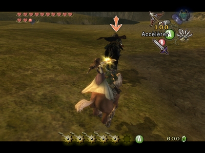 Screenshot de Twilight Princess