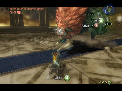 Screenshot de Twilight Princess