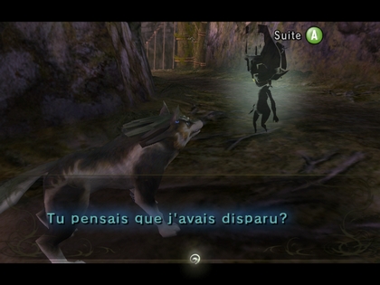 Screenshot de Twilight Princess