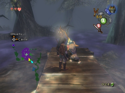 Screenshot de Twilight Princess