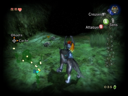 Screenshot de Twilight Princess