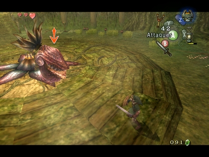 Screenshot de Twilight Princess