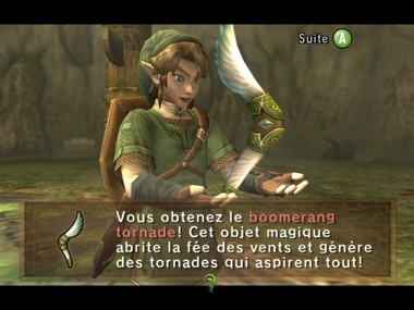 Screenshot de Twilight Princess