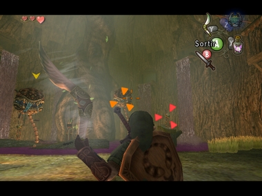 Screenshot de Twilight Princess