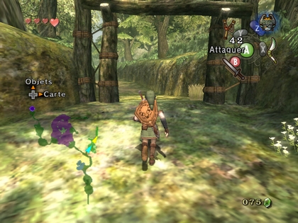 Screenshot de Twilight Princess