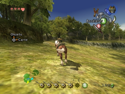 Screenshot de Twilight Princess