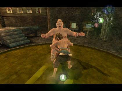 Screenshot de Twilight Princess