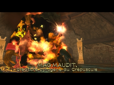 Screenshot de Twilight Princess