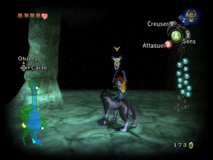 Screenshot de Twilight Princess