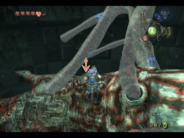 Screenshot de Twilight Princess