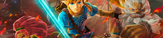 Solution de Hyrule Warriors : L’Ère du Fléau
