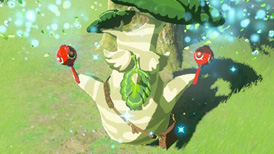 Les 900 Korogus Tous leurs emplacements