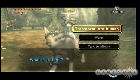 Screenshot de Twilight Princess