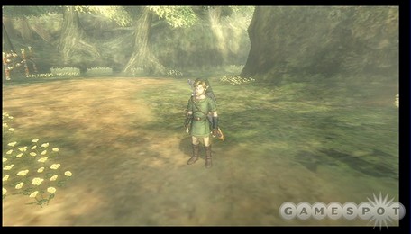 Screenshot de Twilight Princess