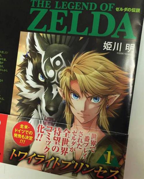 twilight princess tome 1