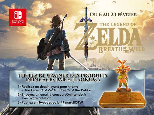 Image du Concours de Zelda: Breath of the Wild